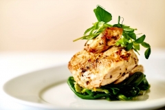 Food And Drink - Gallery - 24