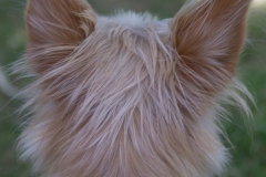 Love, Laughter, Happy Ever After - 18