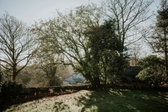 Mid winter wedding - 4.5