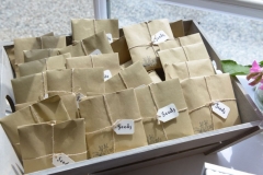 Sunny May Wedding - 2