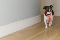 Sunny May Wedding - 6