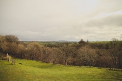 Valentine's Day Wedding - 3