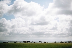 Whimsical Wedding - 1