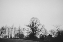 Winter wonderland wedding - 2