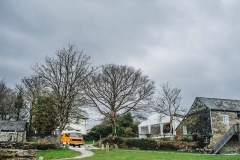 Wish It Was Winter Wedding - 5