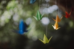 Woodland Wedding - 9.5